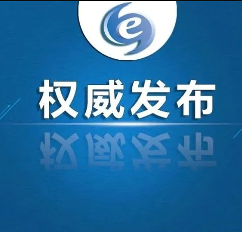 高校党建工作品牌创建时间安排